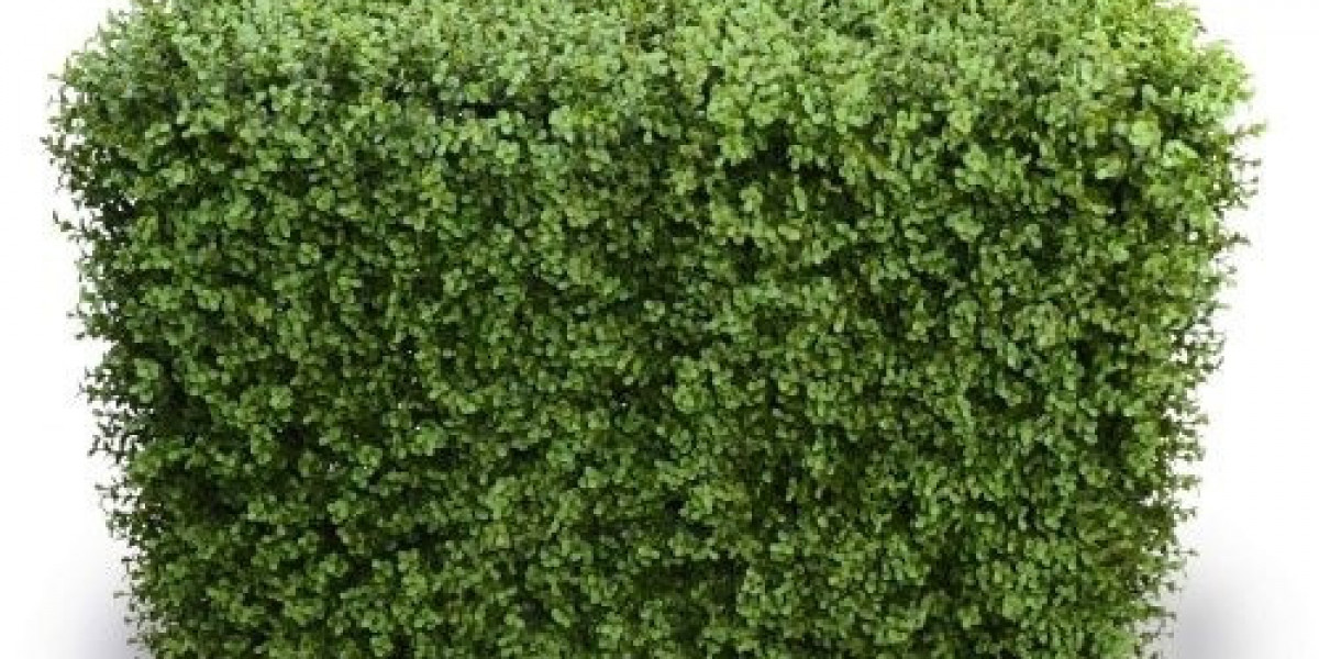 Artificial Plant Hedge The Perfect Fusion of Elegance and Practicality