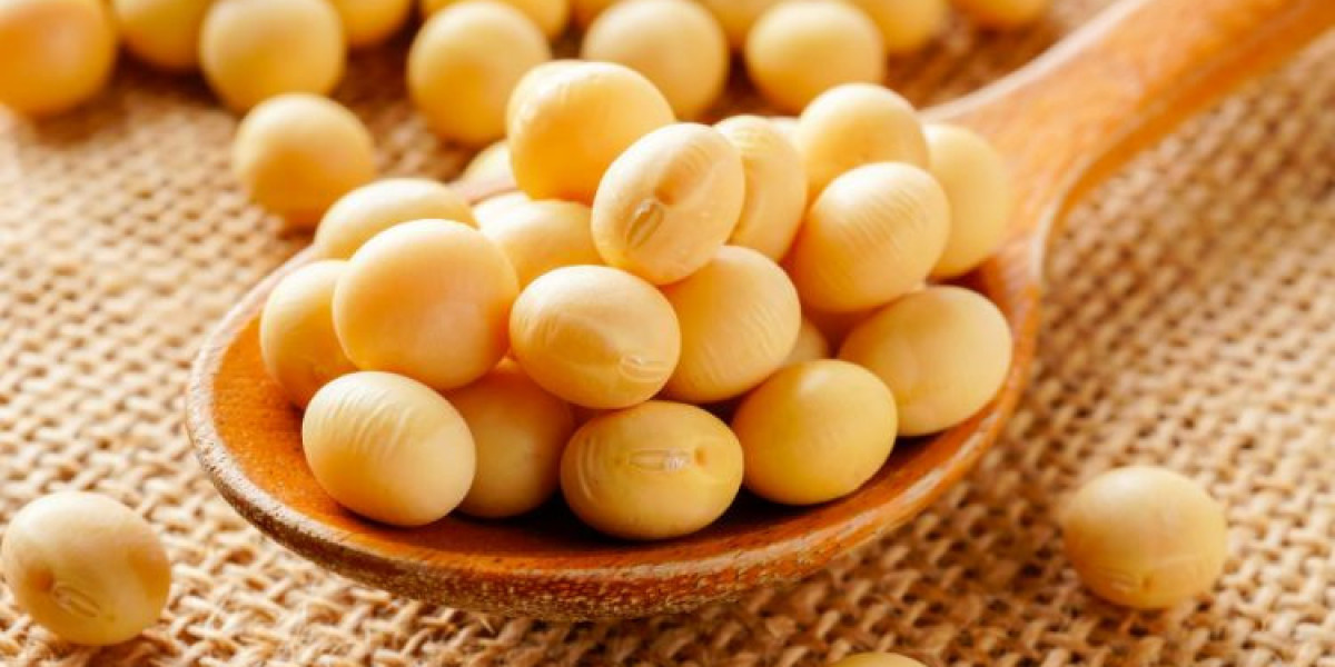 Soybean Market Growth, Trends, and Forecast (2025-2034)