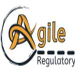 Agile Regulatory Profile Picture