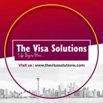 The Visa Solutions Profile Picture