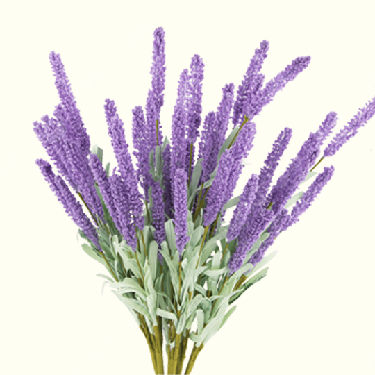 Buy Lavender Essential Oil Bulk From Wholesale Supplier