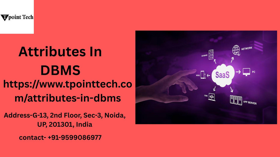 Understanding Attributes in DBMS - JustPaste.it