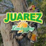 Juarez Landscaping and Tree Services profile picture