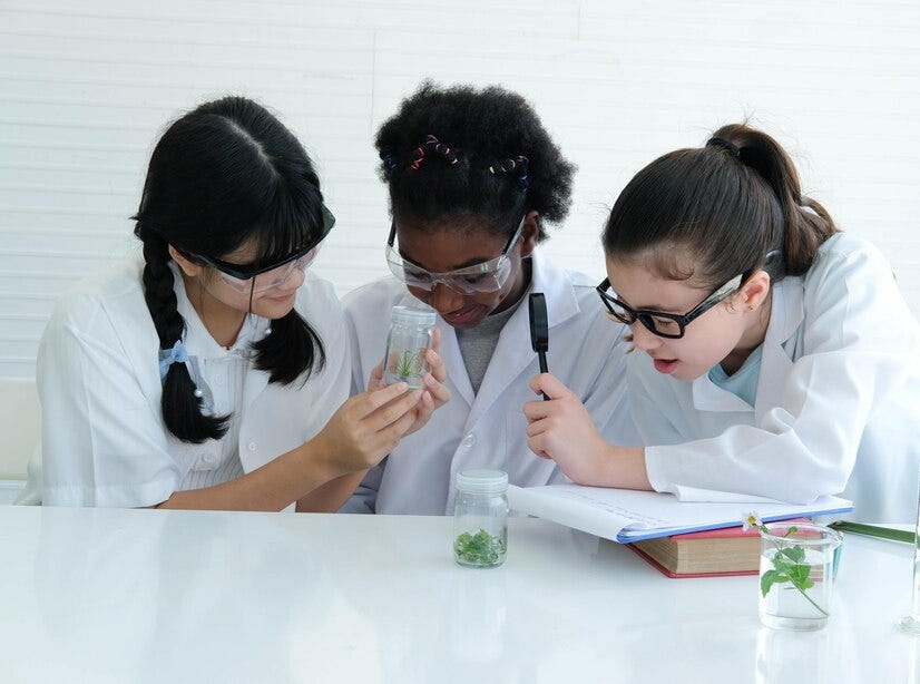 Master Biology Fast with AP Biology Classes | by smartmathtutoring | May, 2025 | Medium