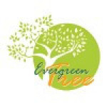 theevergreentree Profile Picture