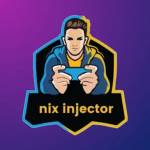 Nix Injector Profile Picture