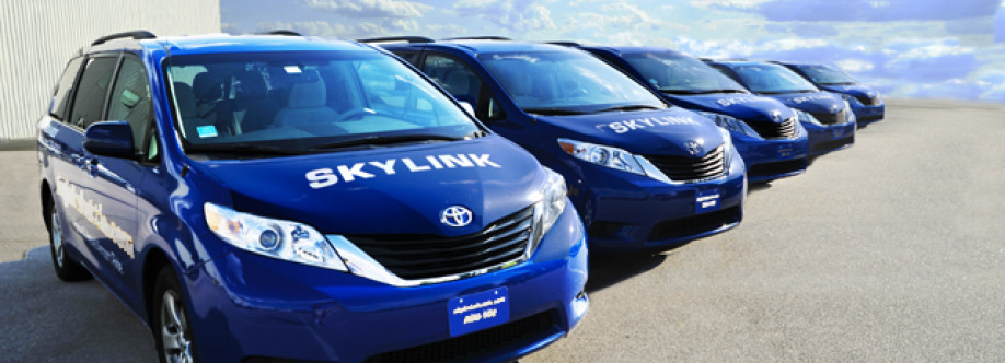 Skylink Shuttle Cover Image