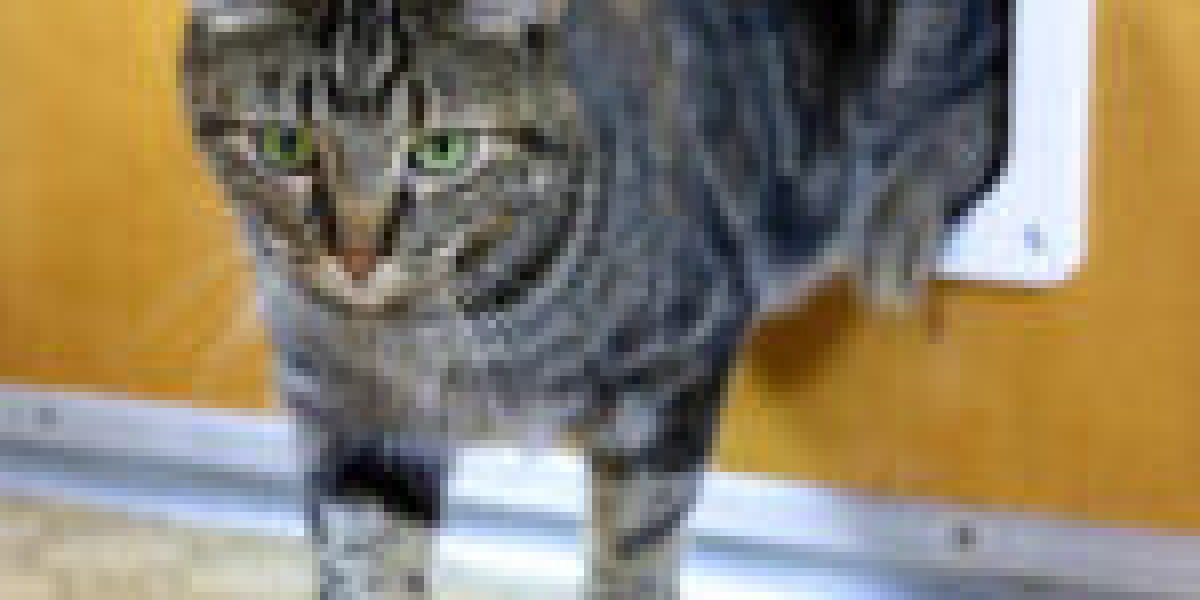 See What Cat Flap Specialist Tricks The Celebs Are Using