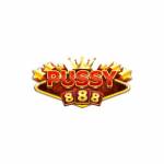 pushy88 Profile Picture