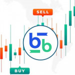 Bitbse Exchange profile picture