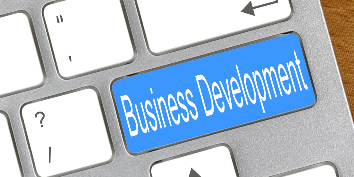 The Role of Technology in Modern Business Development