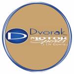 Dvorak Motorsports profile picture