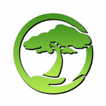 MDZ Crew Landscaping and Paving INC profile picture