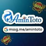 AmintotoSlot Profile Picture