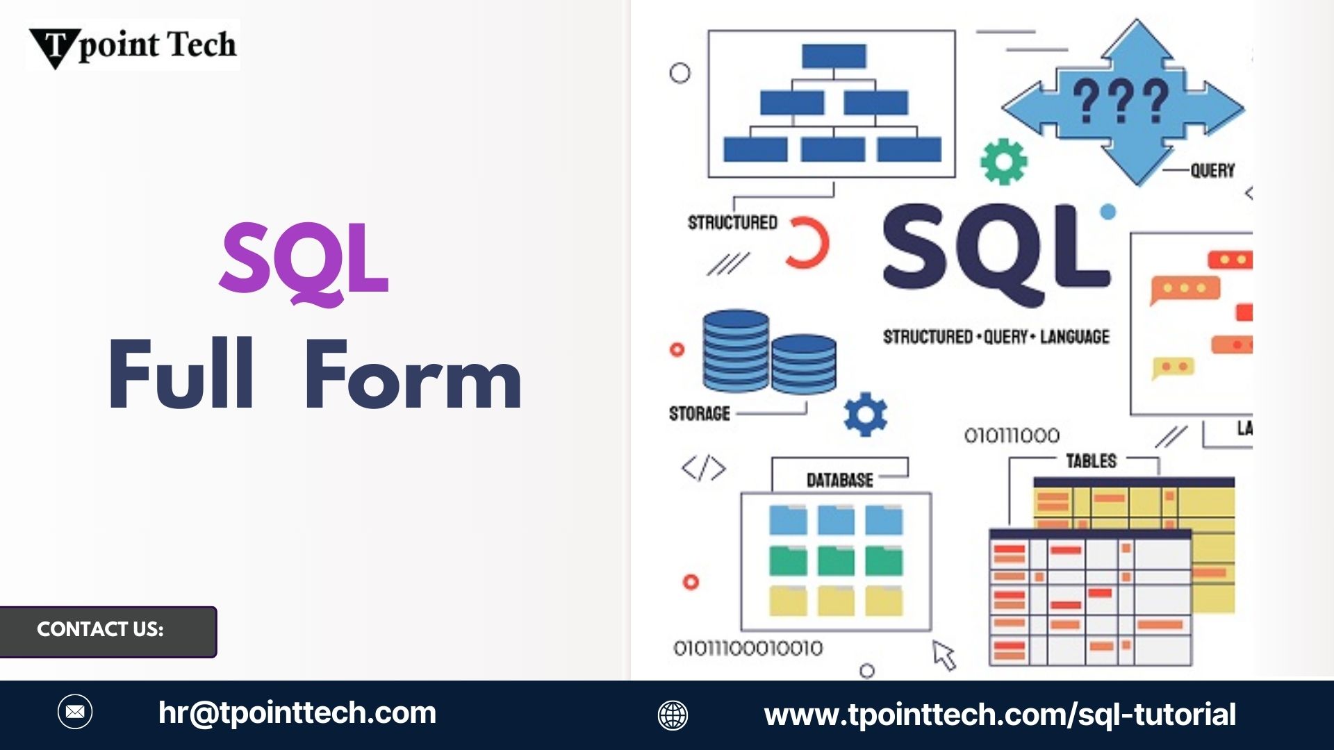 What Is the Full Form of SQL? A Beginner’s Guide to Structured Query Language