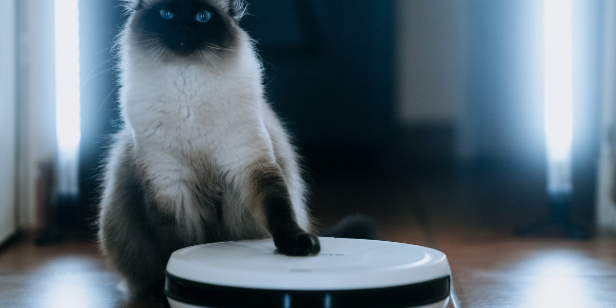 The Motive Behind Automatic Vacuum Cleaner Is Everyone's Passion In 2024