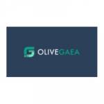 Olive Gaea profile picture