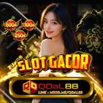 QDAL88SLOT Profile Picture