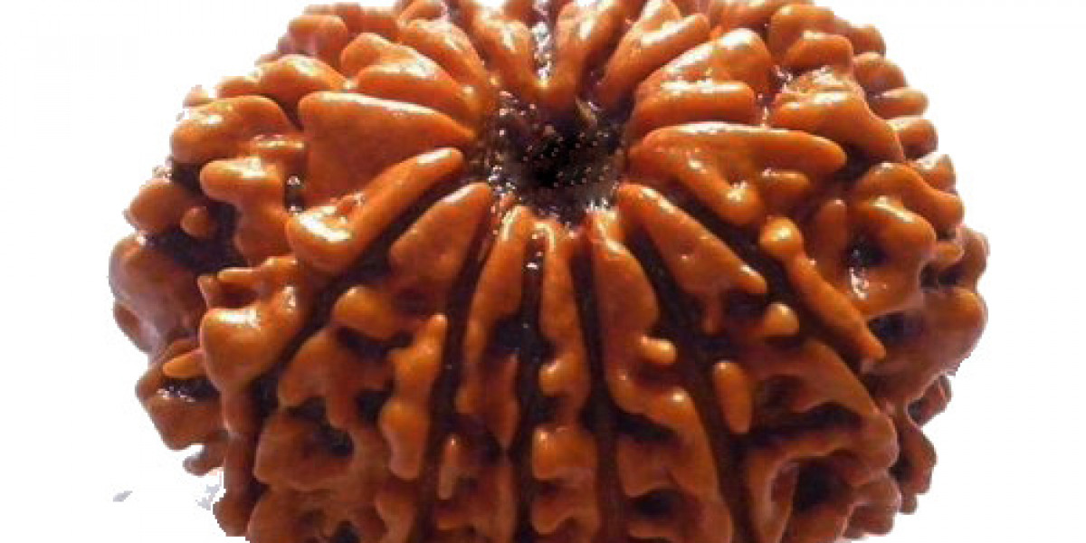 How to identify a 12 Mukhi Rudraksha?