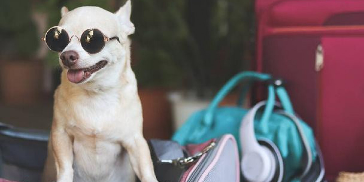 Keep Your Pup Close: The Everyday Comfort of a Small Dog Sling