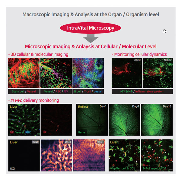 Microscopy - Merkel Technologies Ltd