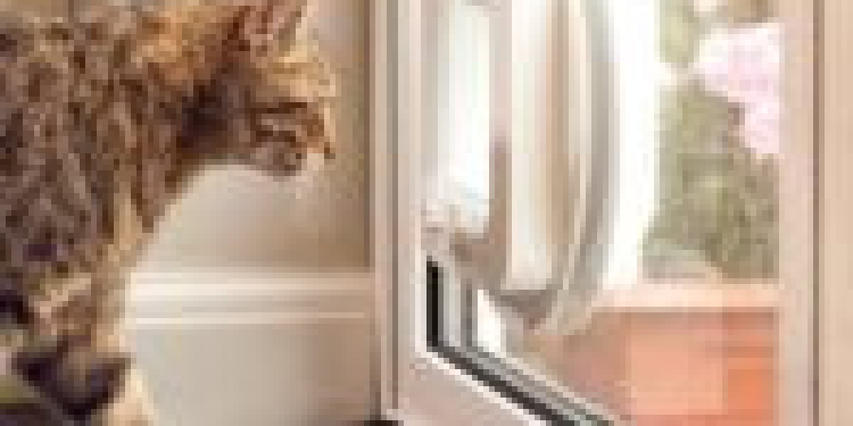 Five Killer Quora Answers On Best Cat Flap Installer