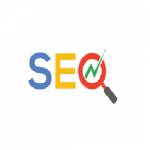 Digital Seo Team profile picture
