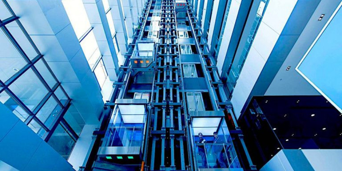 Wise Vertical Mobility Solutions Supported by Expert Care and Support